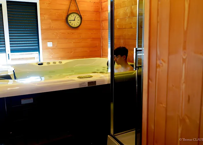 Отель Logis Les Sapins