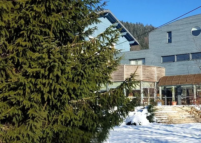 Отель Logis Les Sapins Le Menil