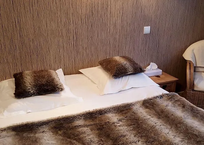 Logis Les Sapins Отель 2*