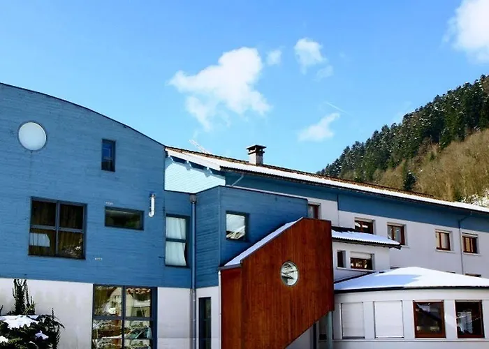 Logis Les Sapins Отель